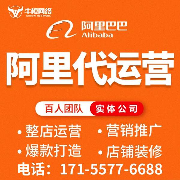 腾冲电商代运营