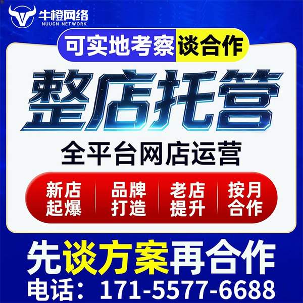 腾冲电商代运营