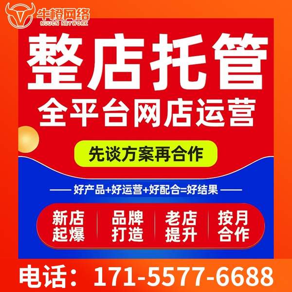 腾冲电商代运营