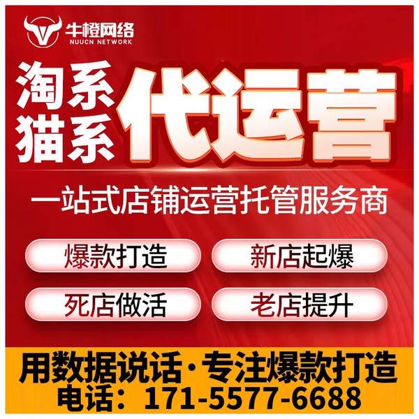 腾冲电商代运营